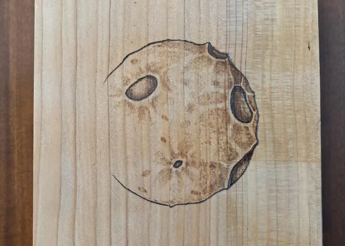 公寓 Casa Eliana Luna *